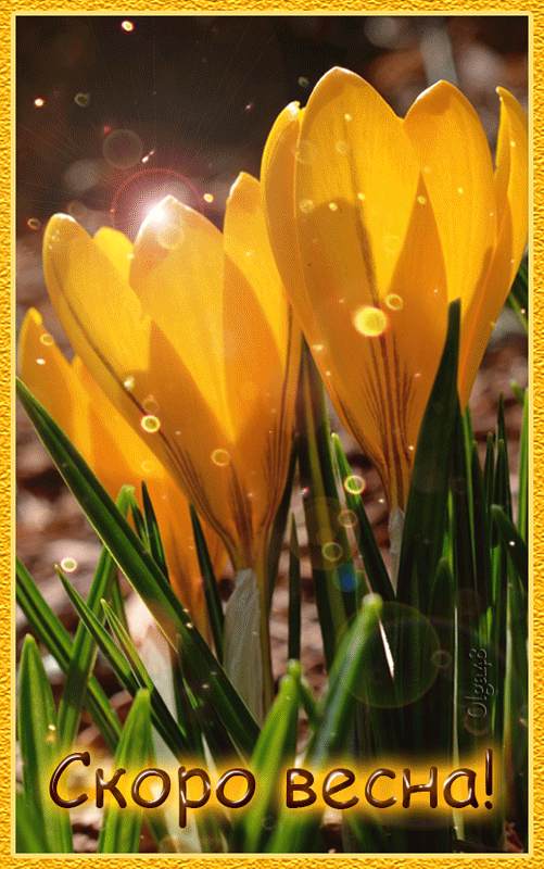 Скоро весна ! Желтые цветы