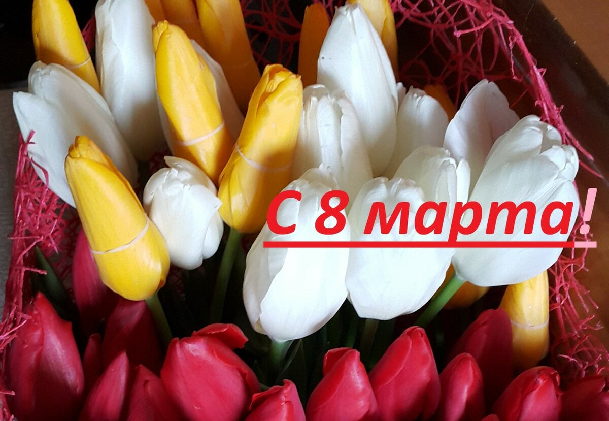 8 ������ ��� ������� ��������