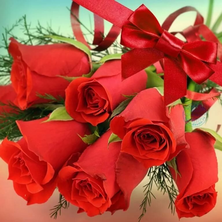 ���� ��������, �������� ��������