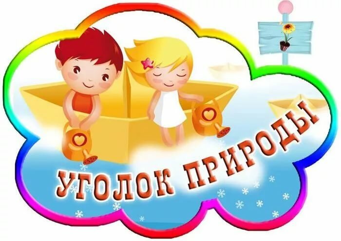 Оформление игровых зон в доу в картинках