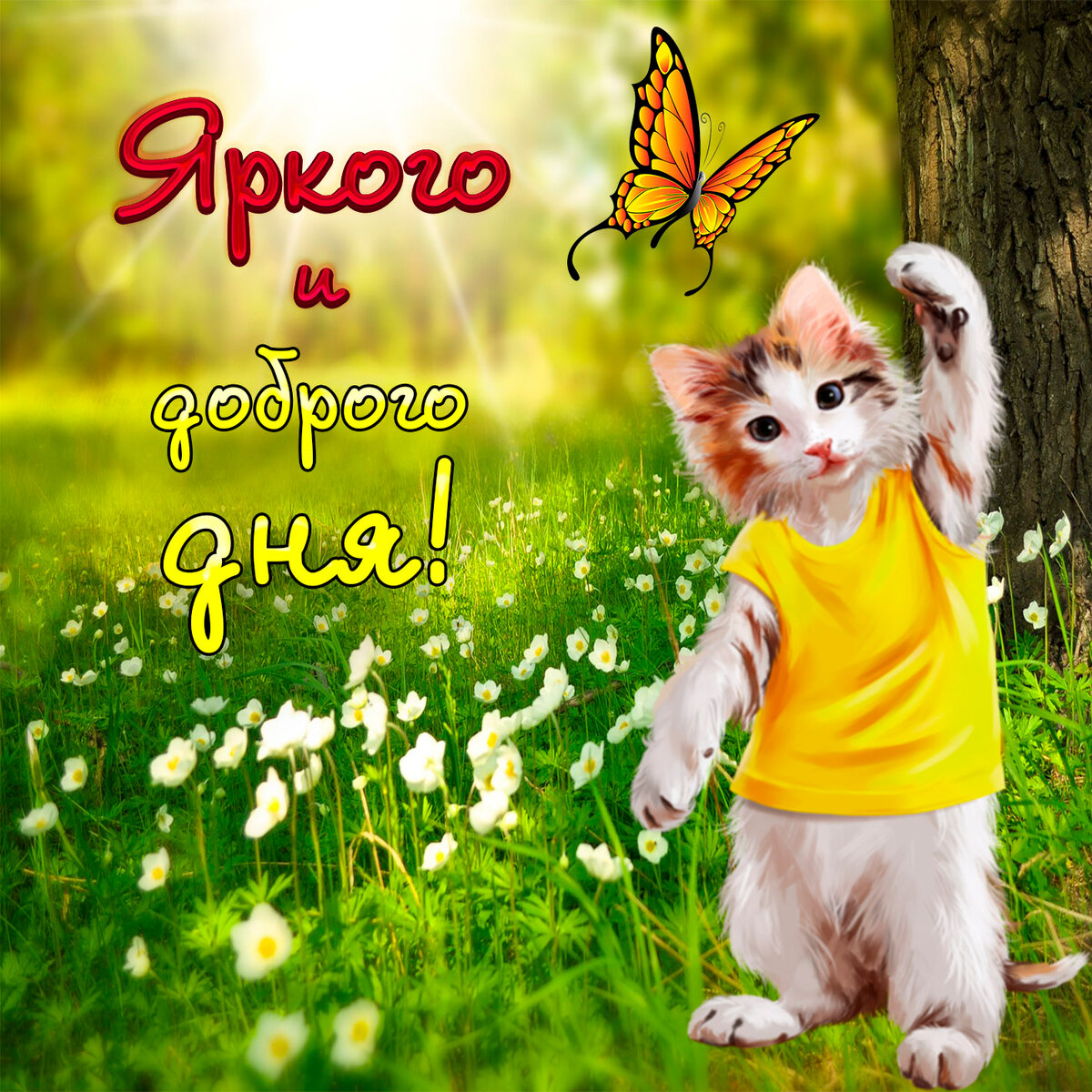 ��� ���������, ������ ���� � ����������� �������� ���������