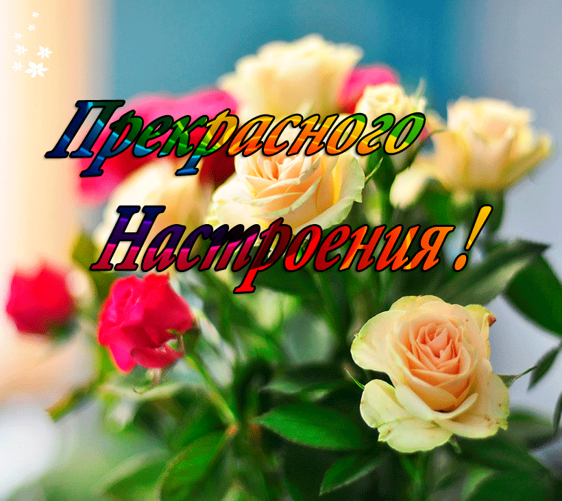 �����, ��� ��������, gif - ������� ������! ����������� ����� ...