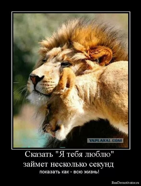 �������� � �������� ����� ���� ������ �����, �������� ������� ��������