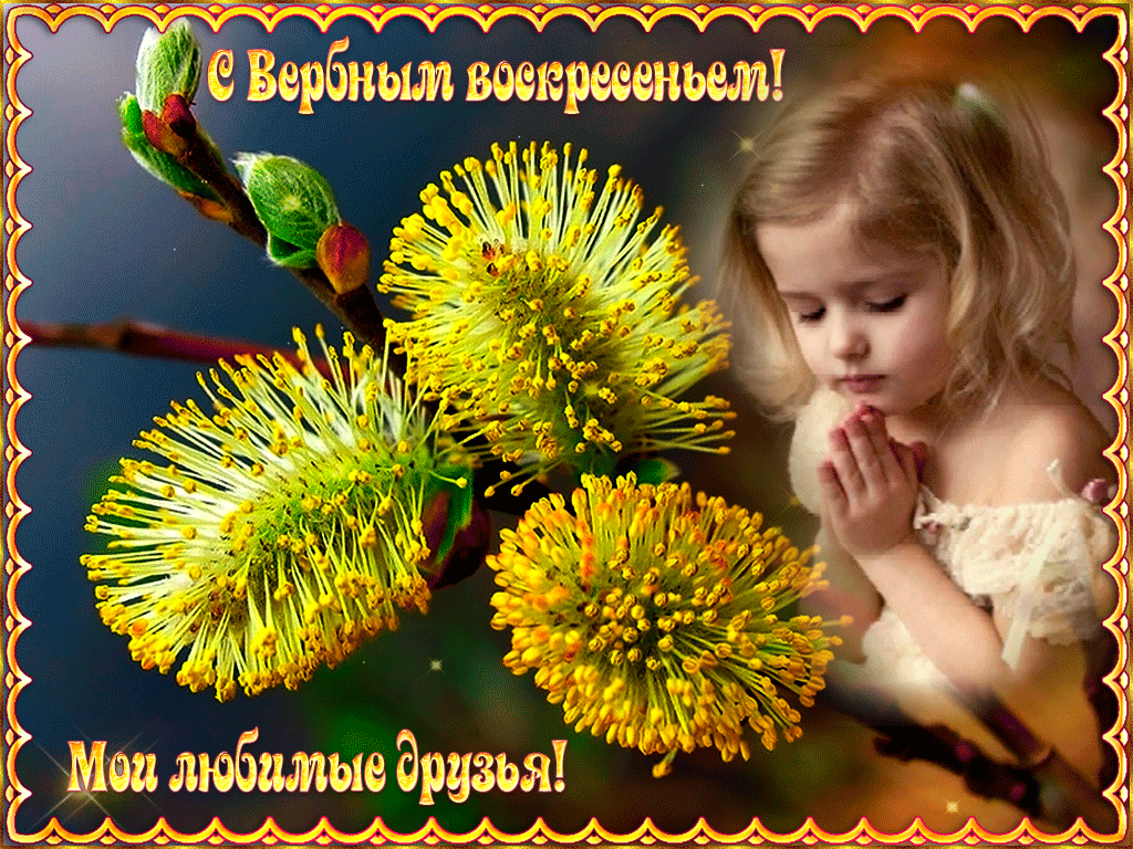 ������� ����������� 2017 ���� ��������, ������