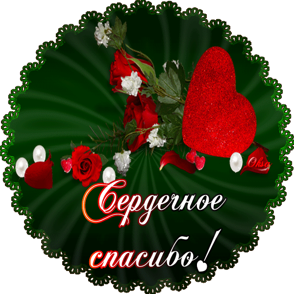 ����� ��������, �������� � �������������� �� �������� �������