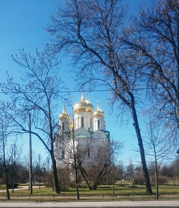 Екатерининский собор весной