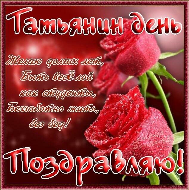 �������� ���� ��������, �������� ������