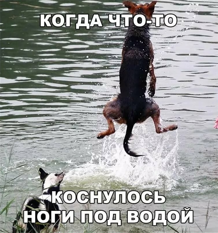 ������� �������� ��� �������������� ������ �� ����, ���������� �������