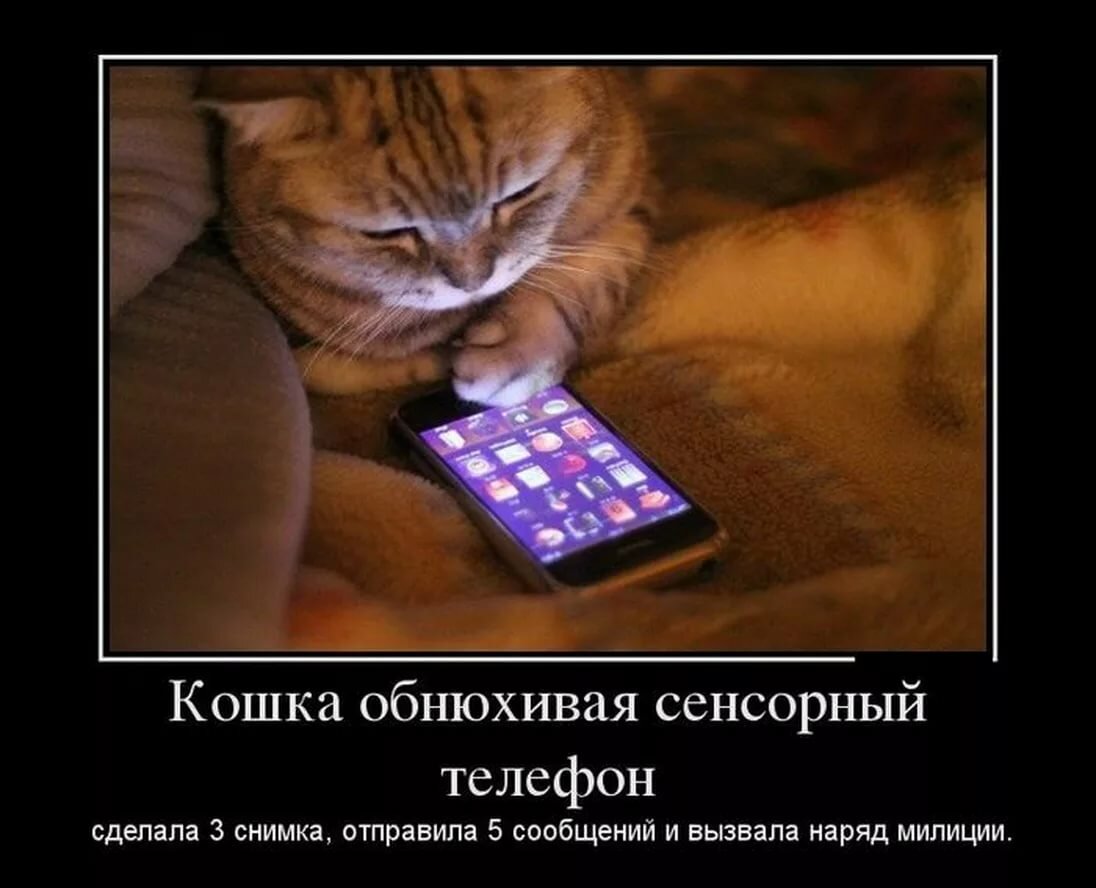 �������� � ��������� ����� ���������� � ����, ��������