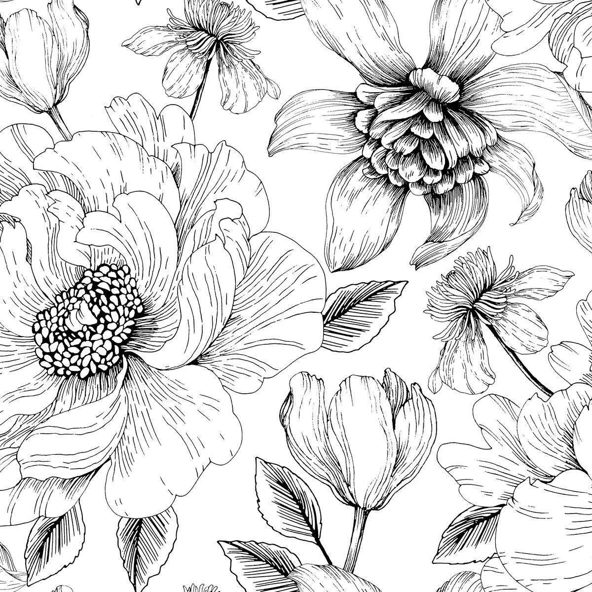 ����� � ������� ��������