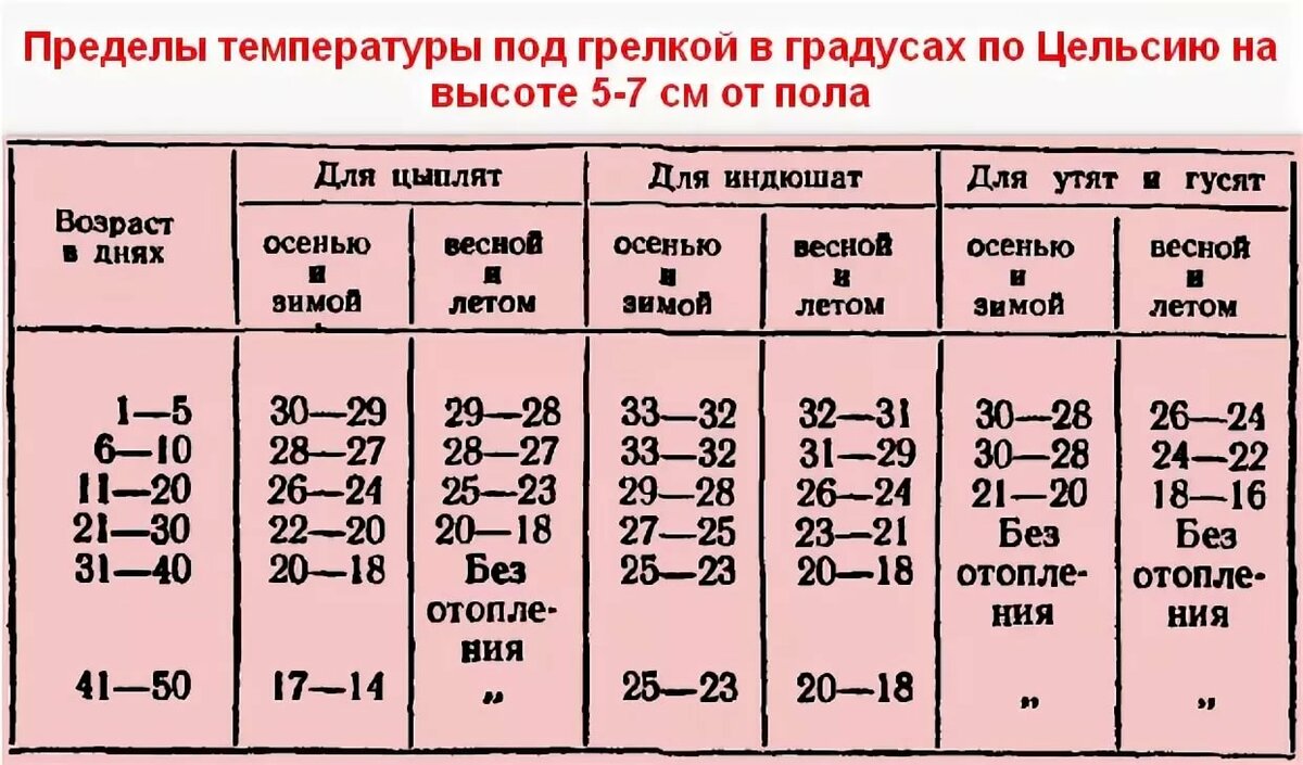 температура содержания индоутят