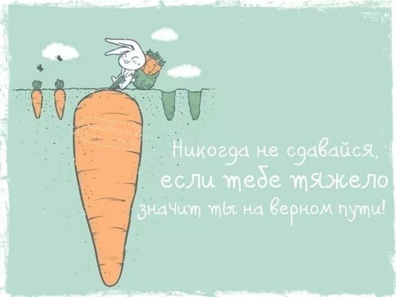 �������� ����������