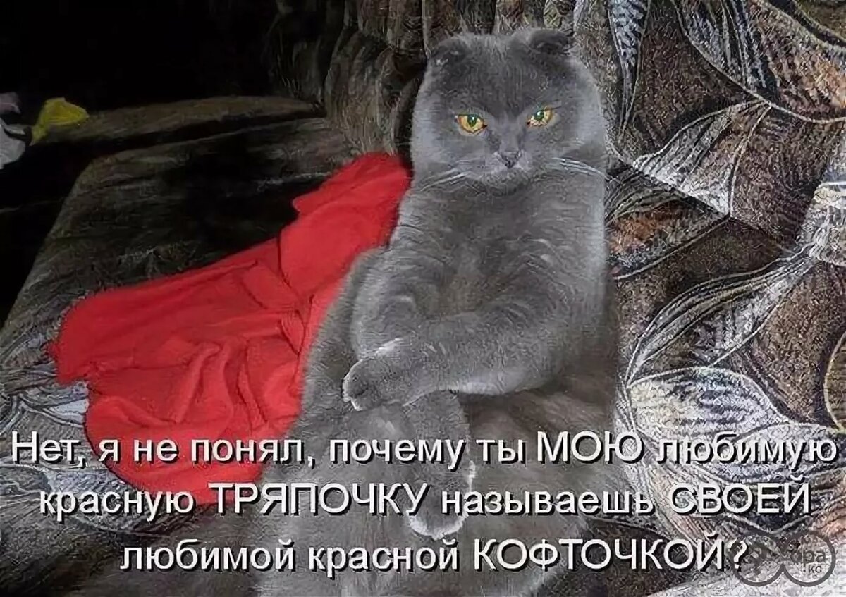 ����, �������� � ��������� � ��������� �������� ��� ��������