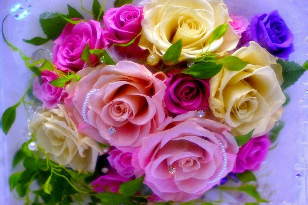 ������������ ��������, ����� ������ �������� �����