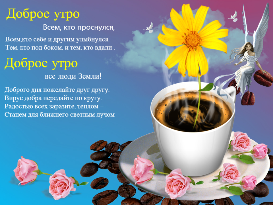 ������ ���� � ���������� ��������