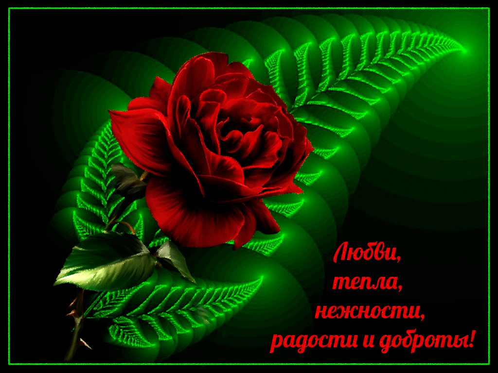 ���, �������� ������� ����� �����