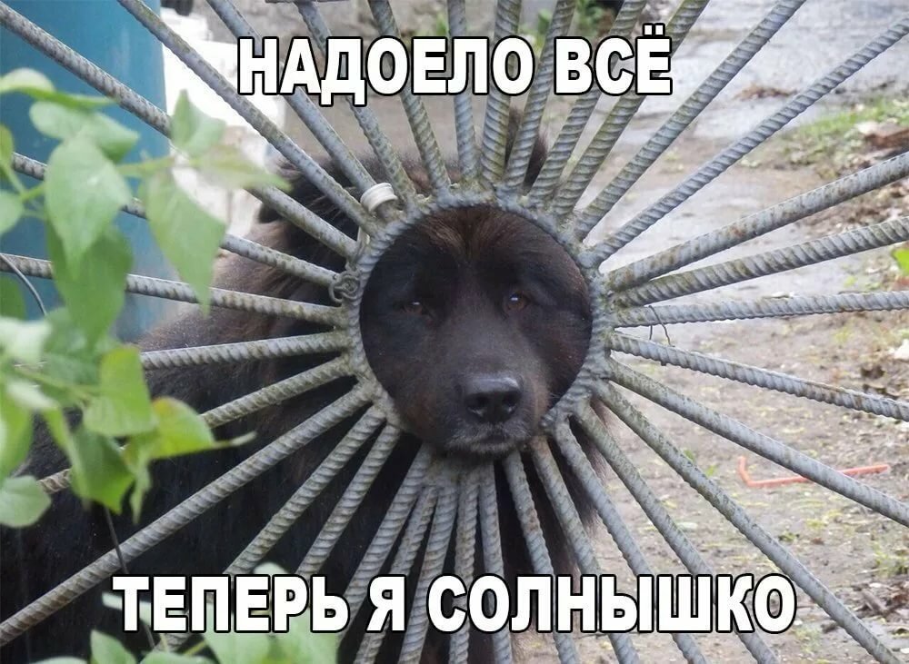 ���� � �������� ������