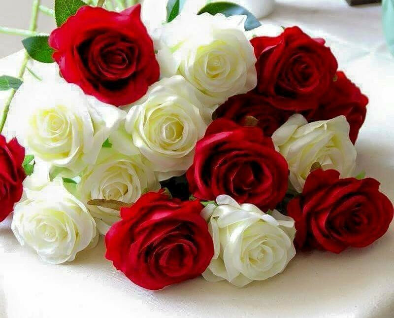 ����, �������� ����� �� ���� ����