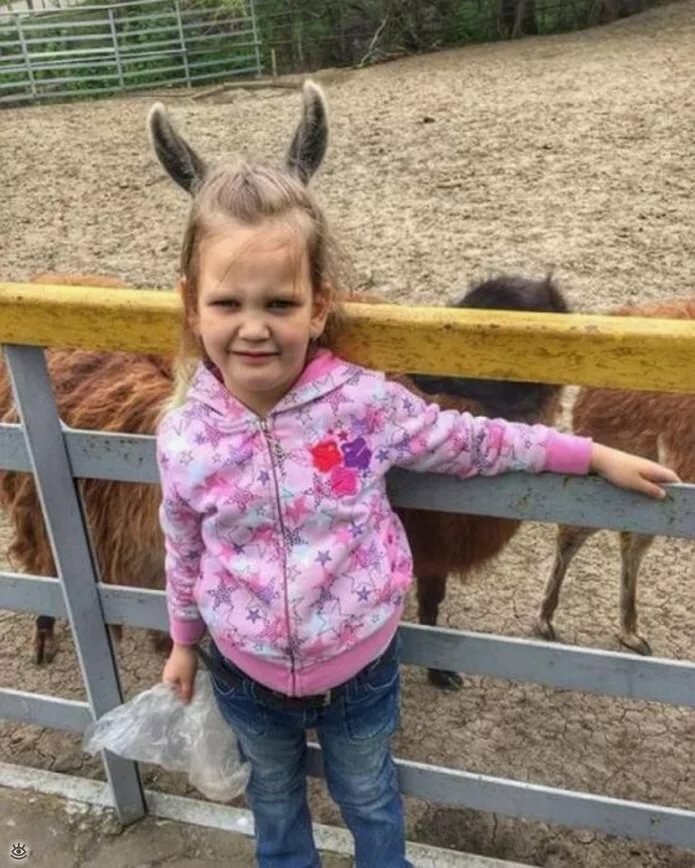 ��������, ������� ��� ����� ����������