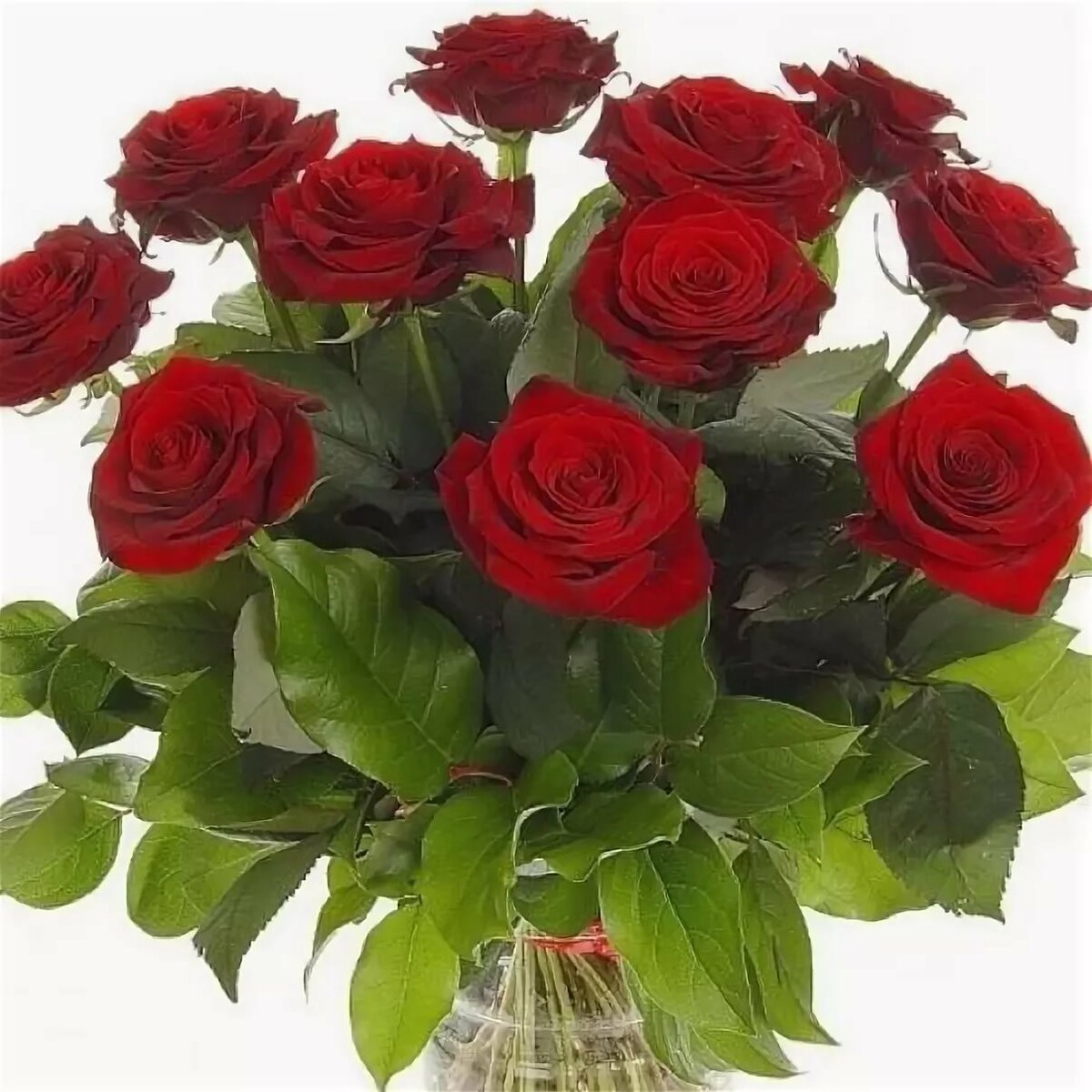 ��������, �������� � ��������������