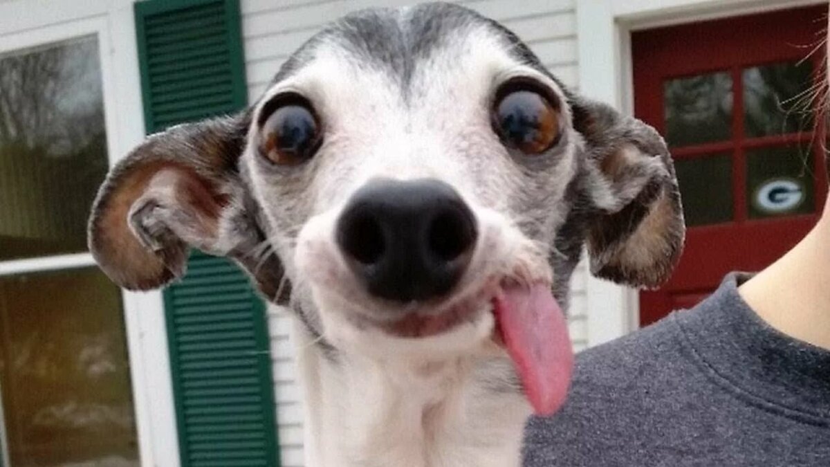 ������ ��������, ���� ������� ��� �������� ����� ������� �� ���� � ���������� ����������