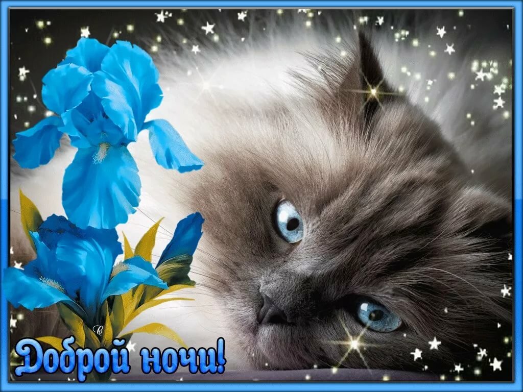 ������������� �������� ������ ����