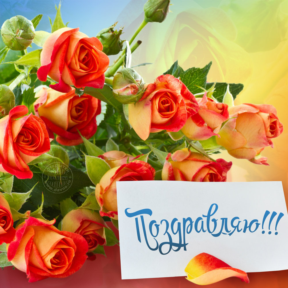 ����� �������� �������� �� ���� �������� �������, ���������