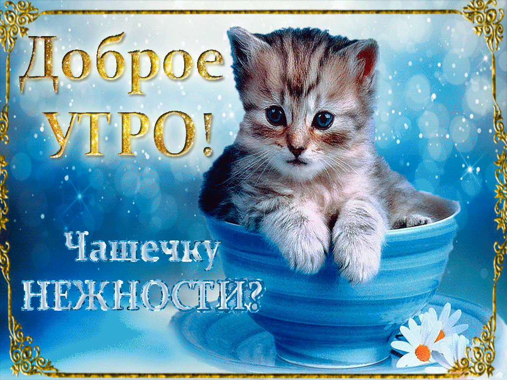 ������ ���� �������� �������, ��������