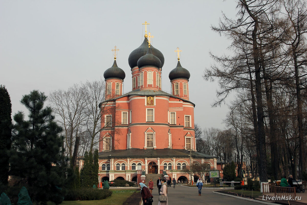 донской монастырь москва фото