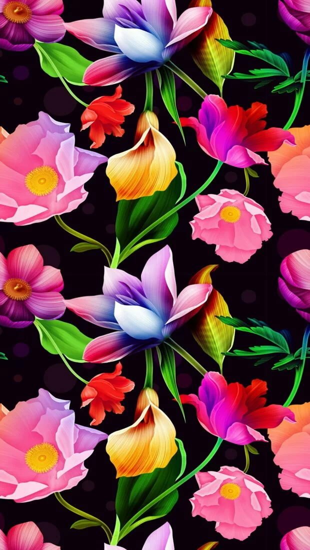 ������������ �������� �����, �������� �����