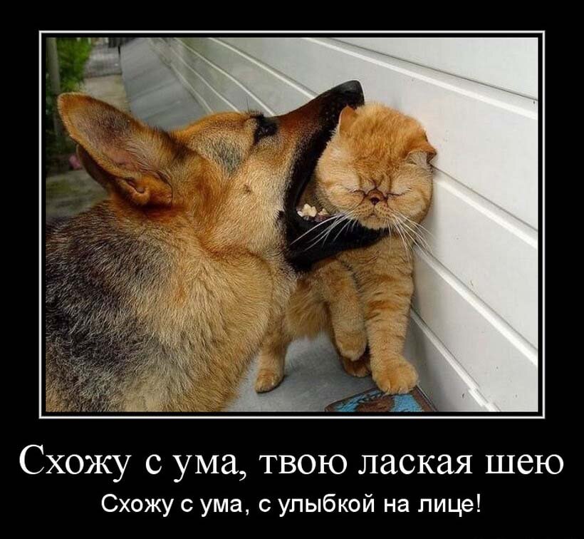 ����� ������� ��� �� ������� �� ���� ���� ������� ������� ����� ������������ ������ ���������