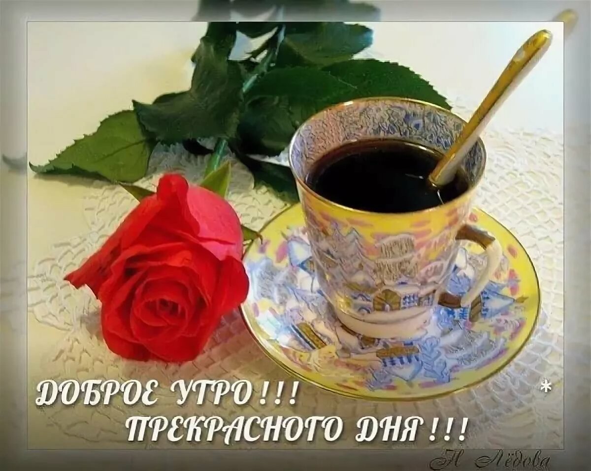 �������� ������� ���� �������� ���