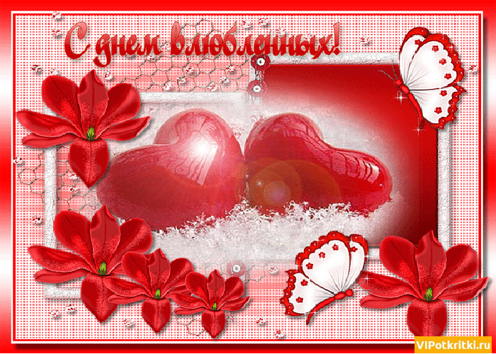 �������� � ���� ���� ���������� ���������