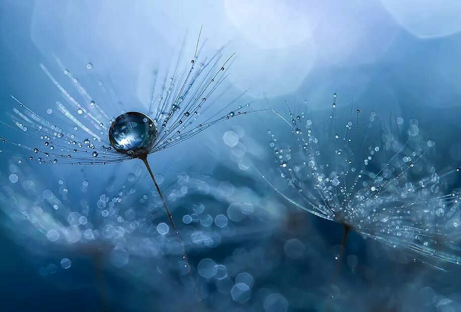 miki asai фотограф фото