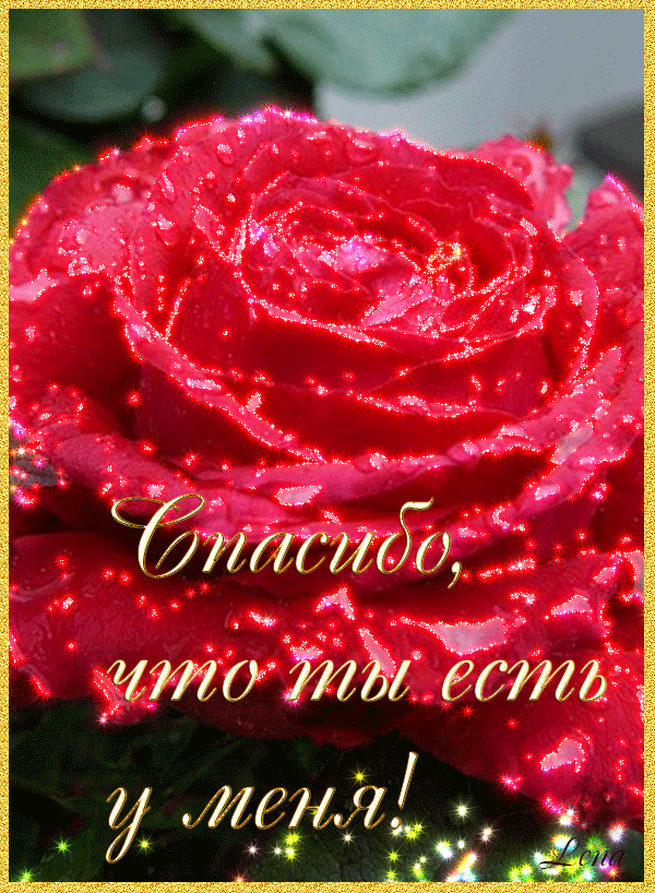 Красивые открытки спасибо за то что ты есть у меня