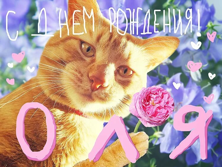 �������� ����� �� ���� ��������