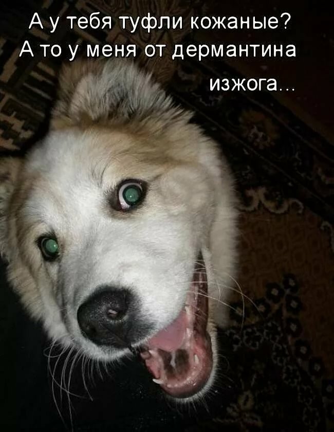 ��������, �������� � ����������� ��������� � � ��������