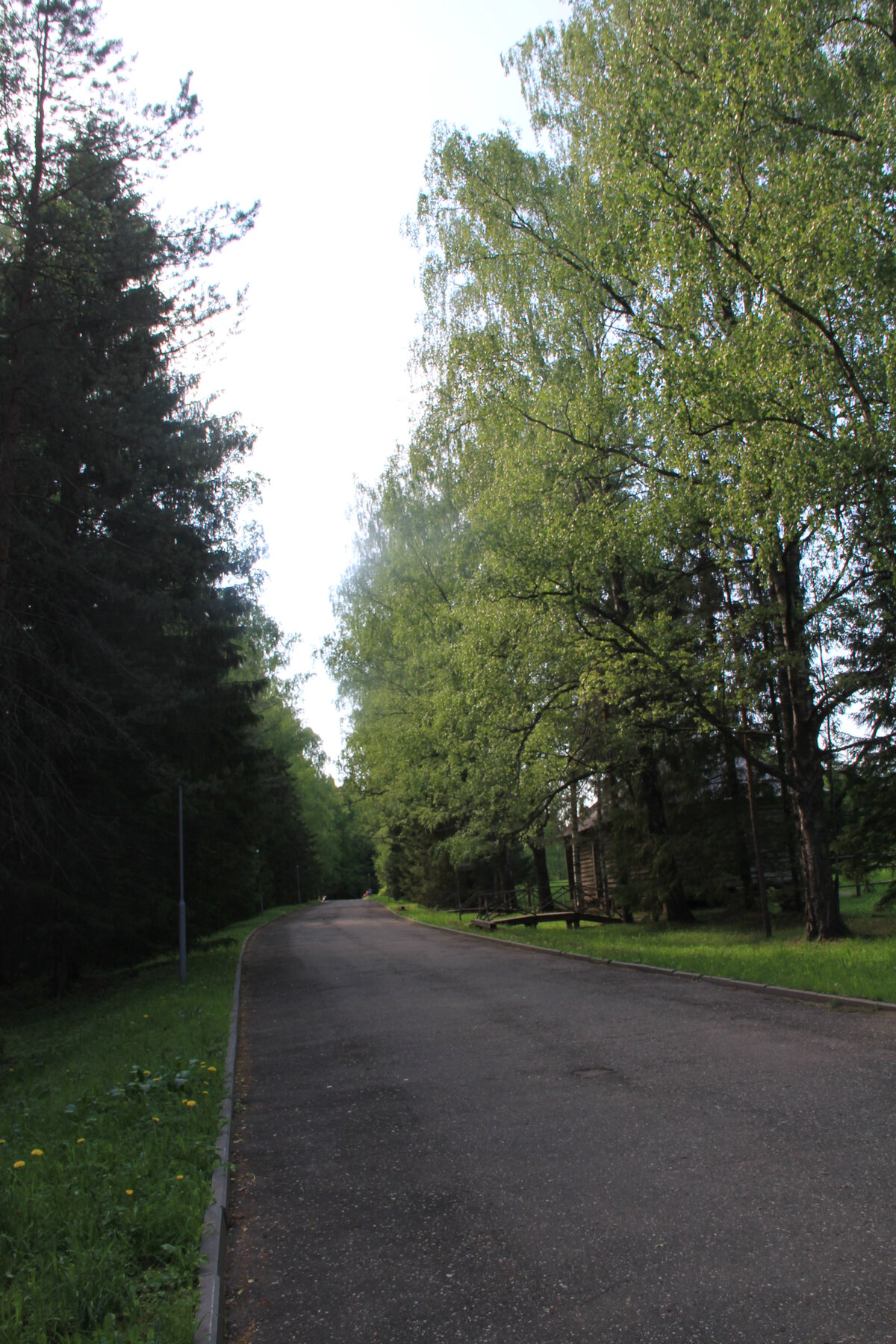 парк филатов луг московский фото