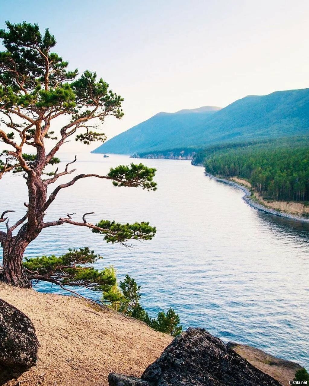 ������ ����� � ����������� ������������� ������� �����