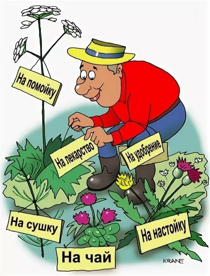 ������� �������� � ���������