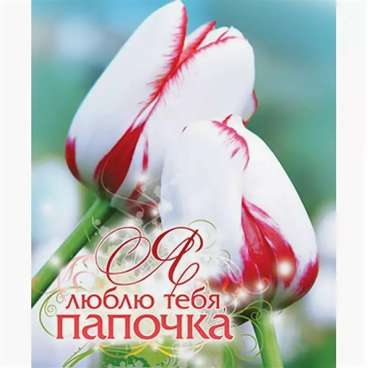 ��������, �������� � �������� ����� ���� ����