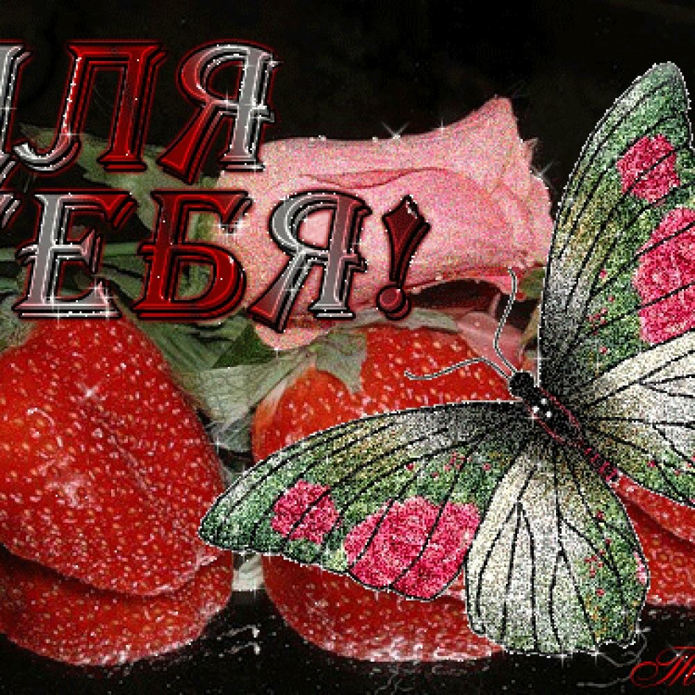 �������� ��������� � ��������, �������� �������� �������