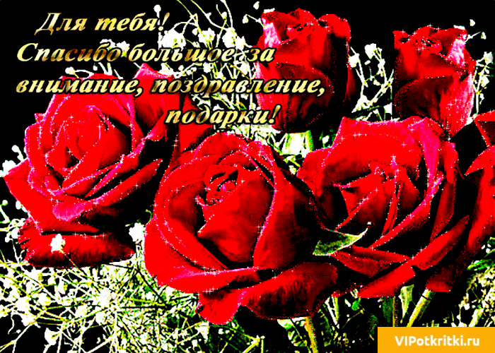 �������� ������� ��������� �� ���������, ���� �������� ��������