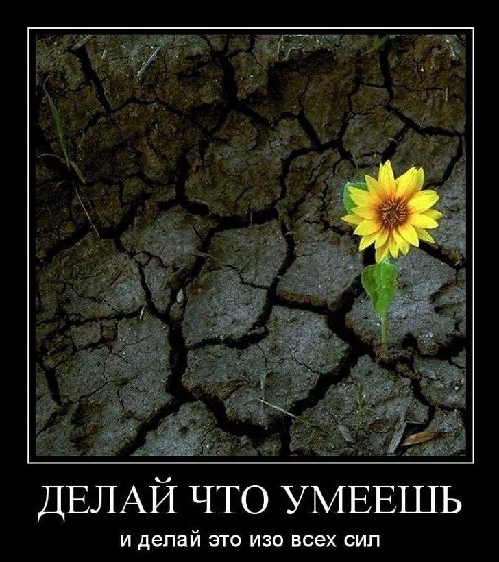 Ты меня используешь демотиваторы