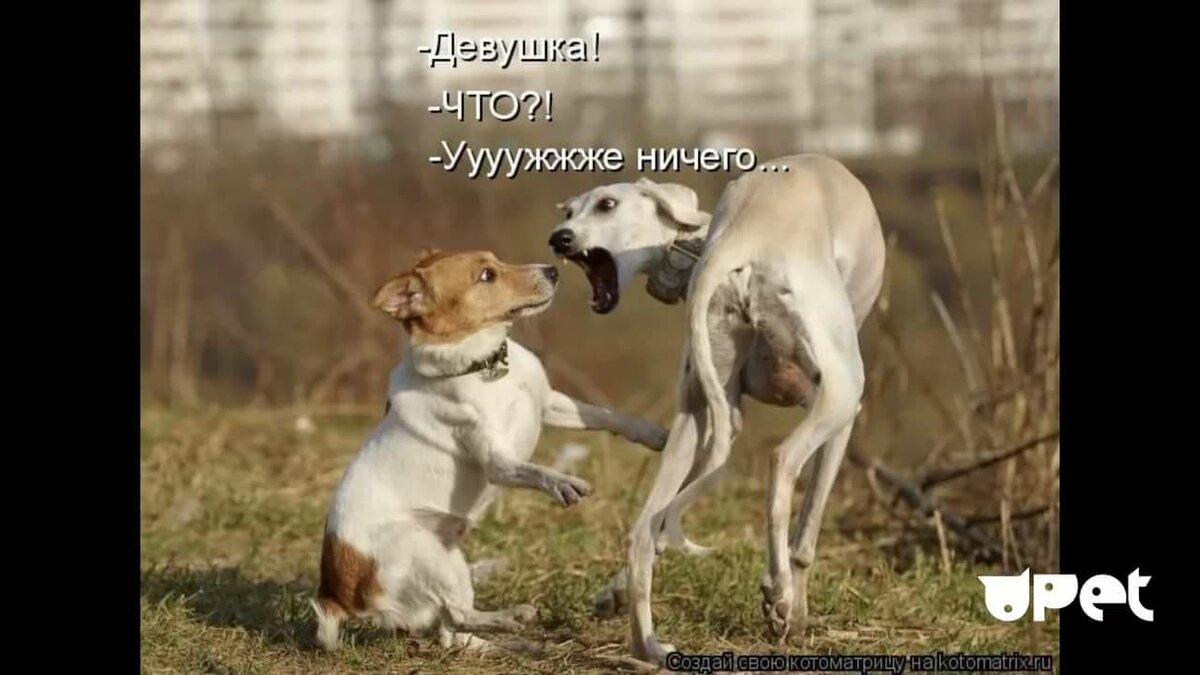 ������� �������� � �������� � ��������� �� ����, �������� ����� �����