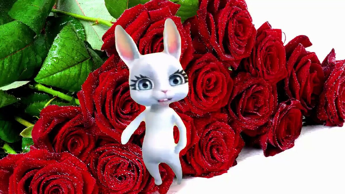 ����������� �������� 2015 �������� ������, ����� �������� �����