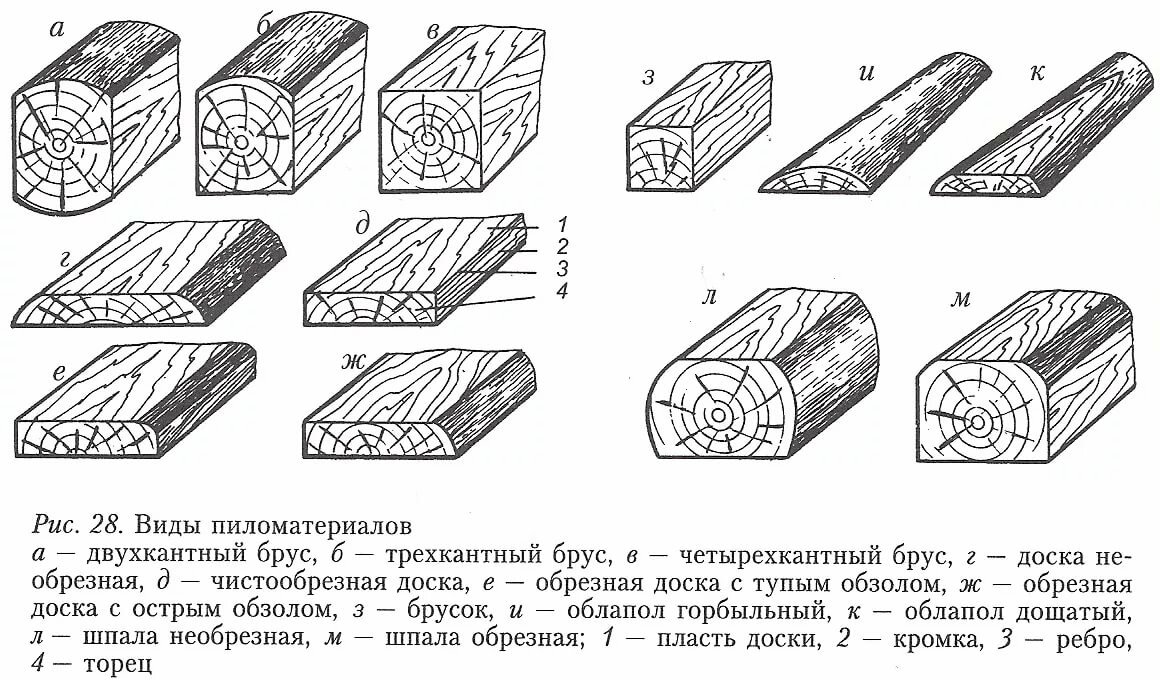 лес деталь