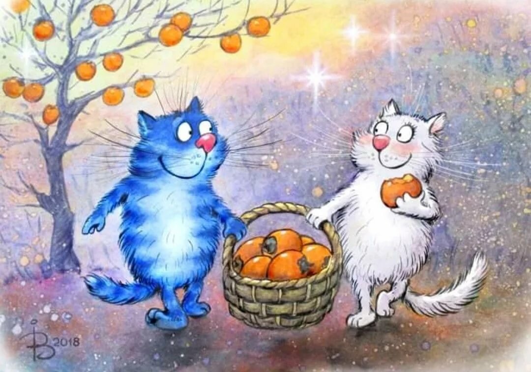 ����� ���� ����� ����� ��������