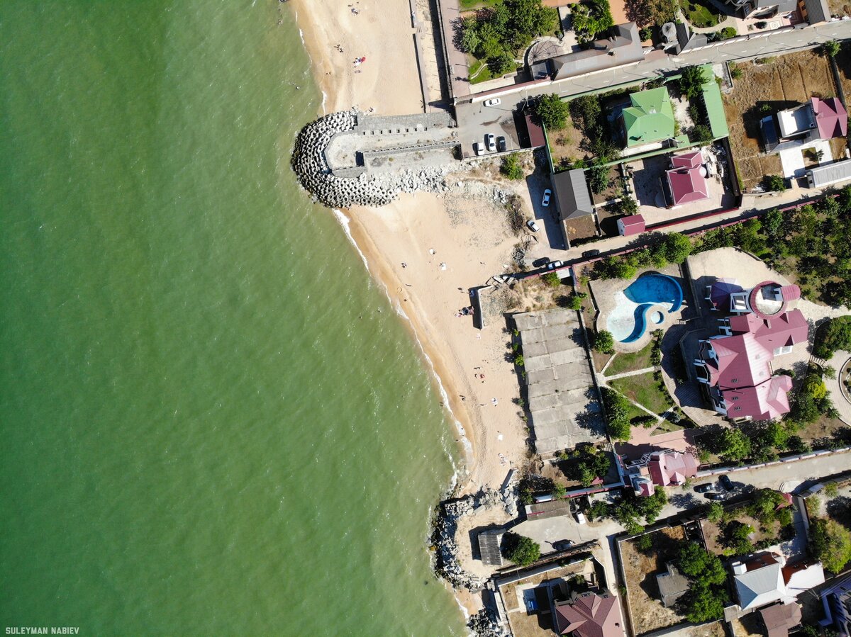 крым орловка вязовая роща фото