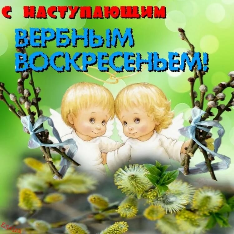 картинки с надписью с наступающим вербным воскресеньем этой странице